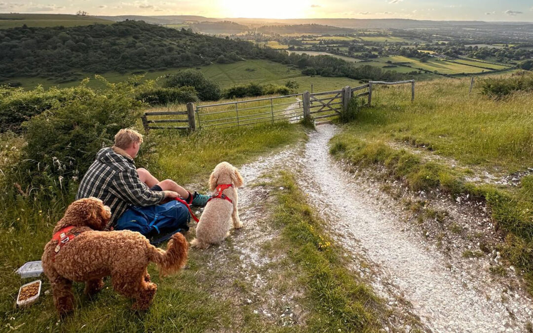 Respecting the South Downs landscape